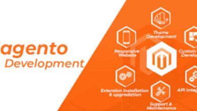 Magento Web Development Services